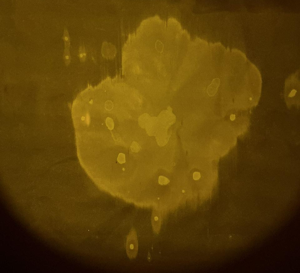 Hyperspectral